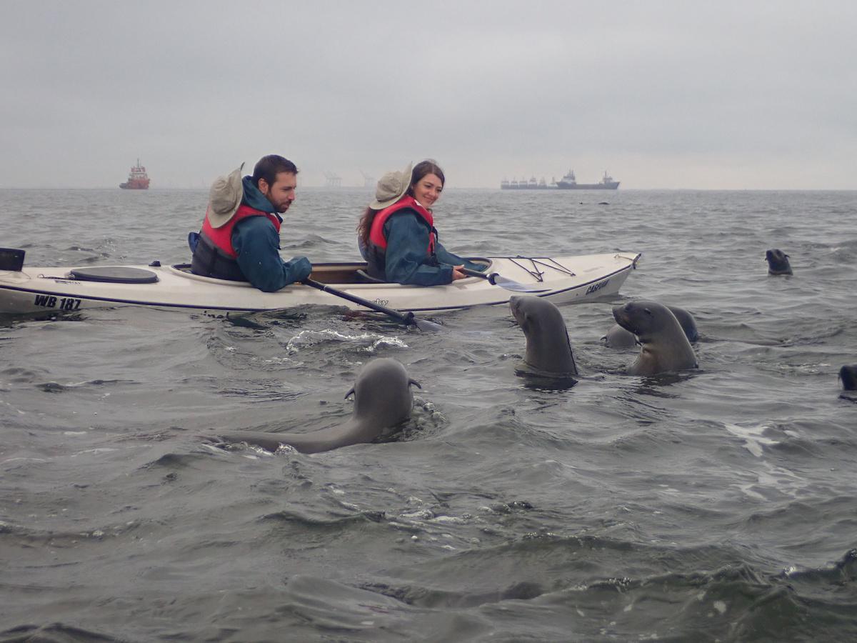 Kayaking Experience📍Swakopmund▶️N$2330˺ pp Kayaking Experience📍Swakopmund▶️N$2330˺ pp