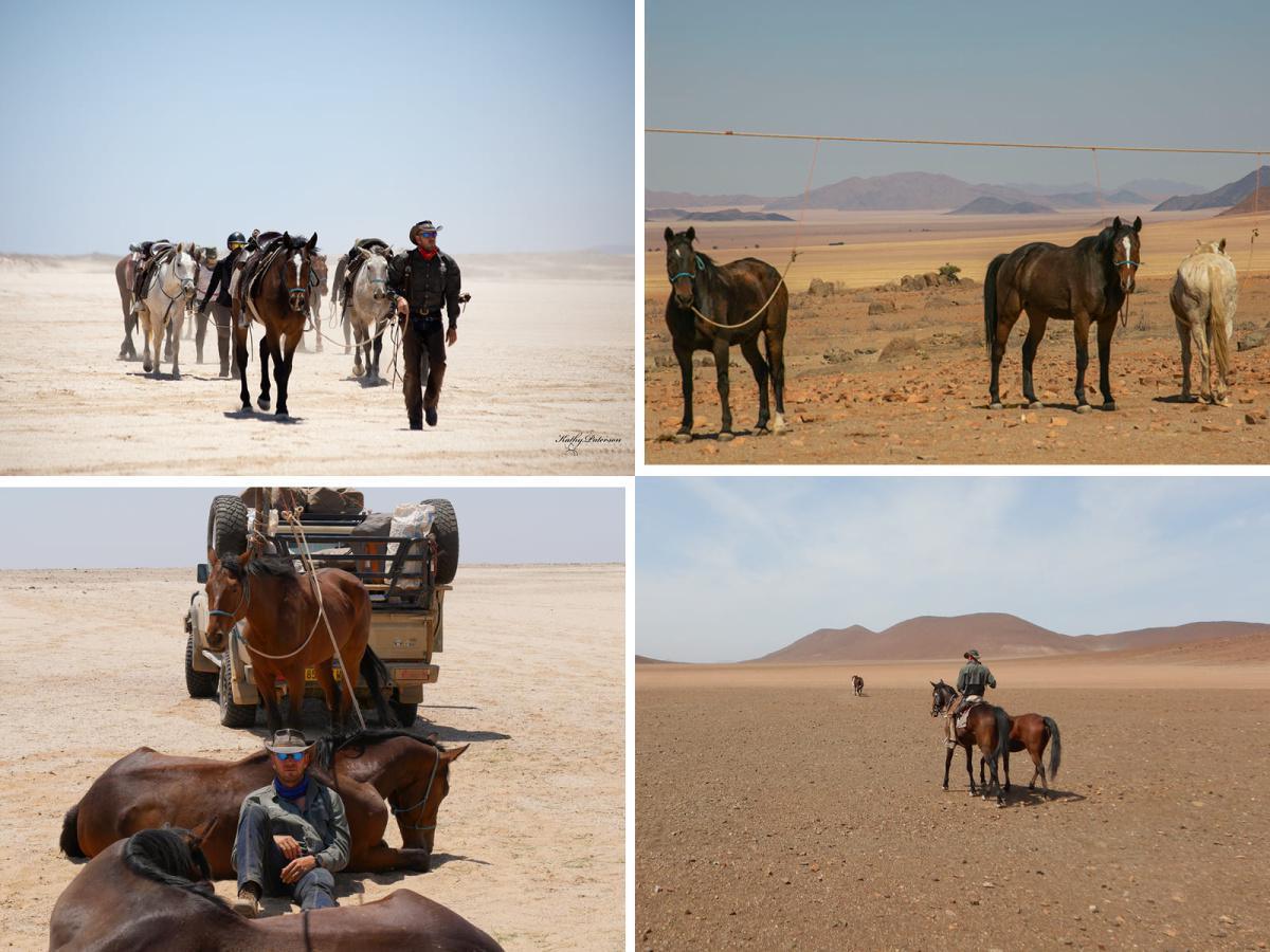🏜️ Desert Horseback Rides📍 ▶️N$ 1150˺ pp 🏜️ Desert Horseback Rides📍 ▶️N$ 1150˺ pp