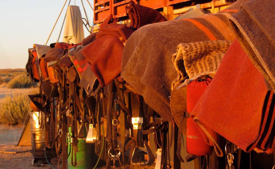 🏜️ Desert Horseback Rides📍 ▶️N$ 1150˺ pp 🏜️ Desert Horseback Rides📍 ▶️N$ 1150˺ pp