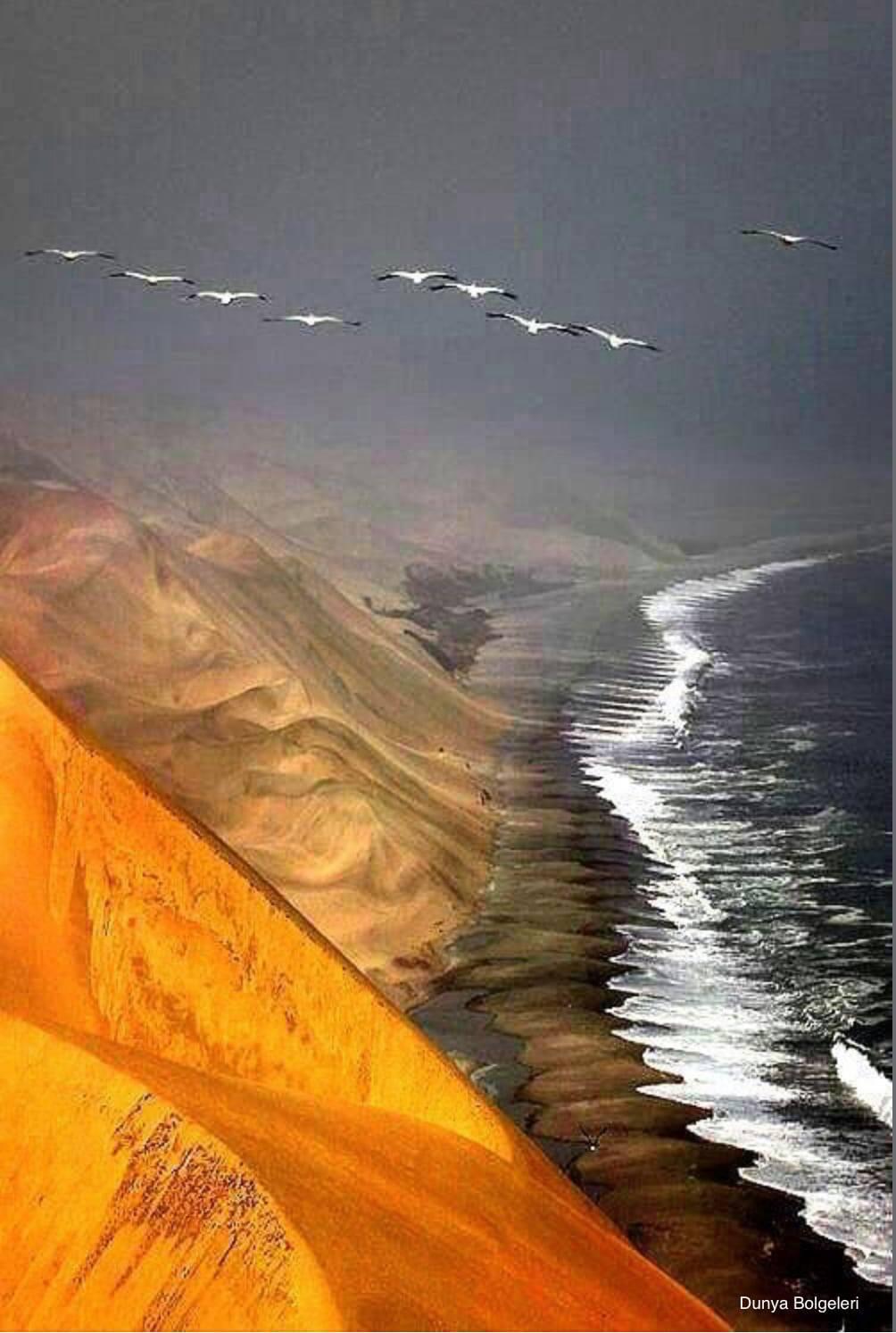 🏜️ Desert Horseback Rides📍 ▶️N$ 1150˺ pp 🏜️ Desert Horseback Rides📍 ▶️N$ 1150˺ pp