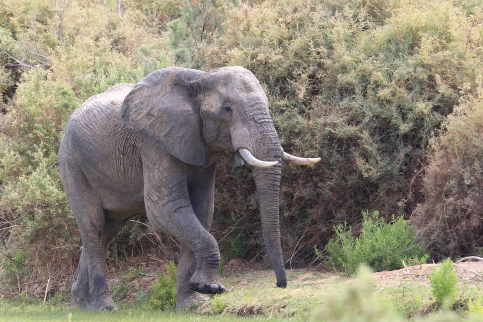 Shipwreck Lodge Shipwreck Lodge