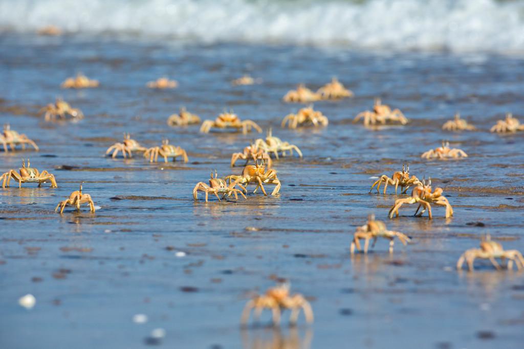 Shipwreck Lodge Shipwreck Lodge