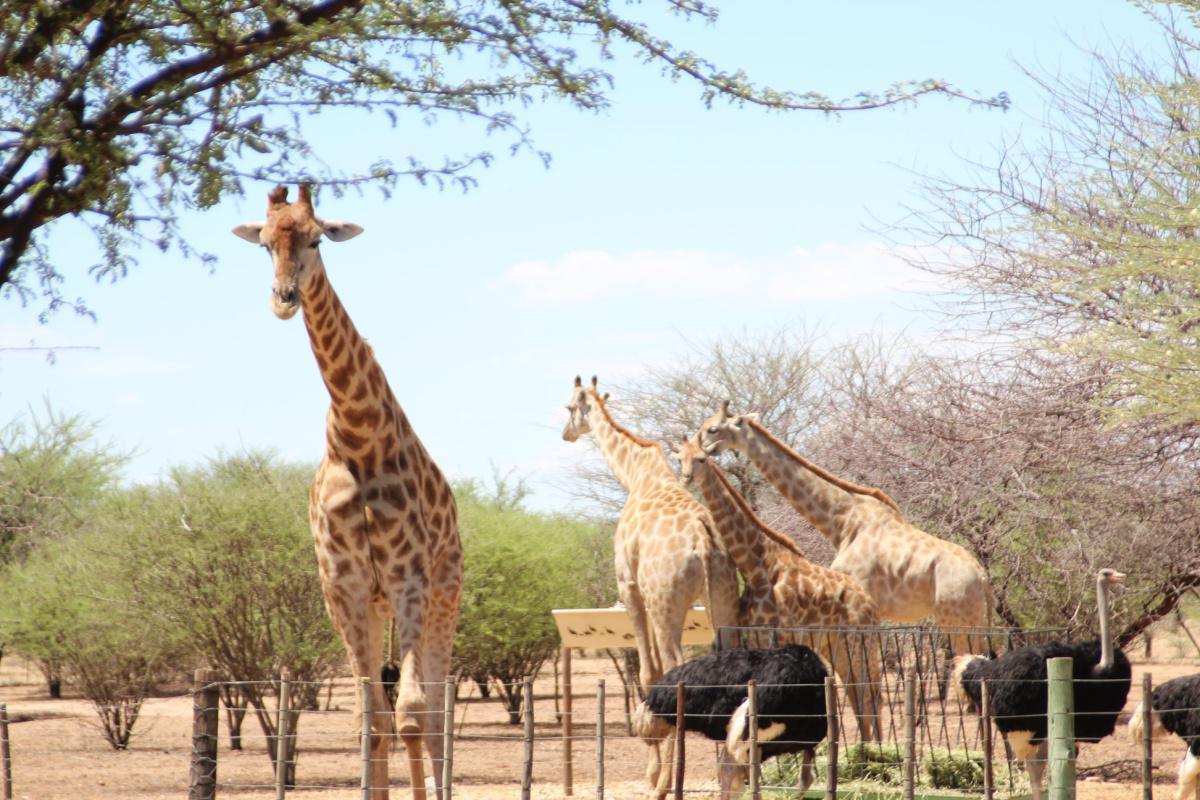 Ombo Rest Camp Ombo Rest Camp