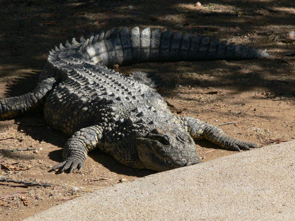 Ombo Rest Camp Ombo Rest Camp