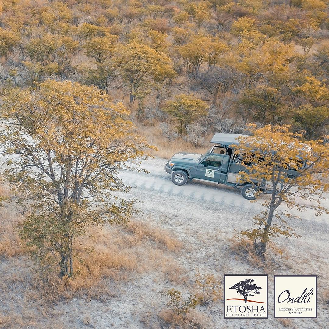 Etosha Oberland Lodge Etosha Oberland Lodge