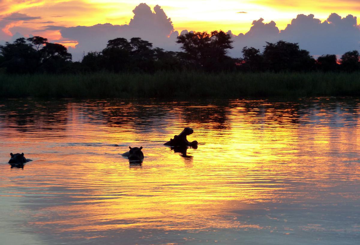 Ngepi Camp Ngepi Camp