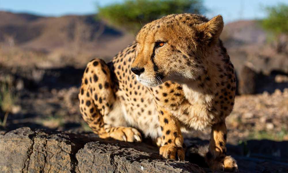 Neuras Wine & Wildlife Estate Neuras Wine & Wildlife Estate