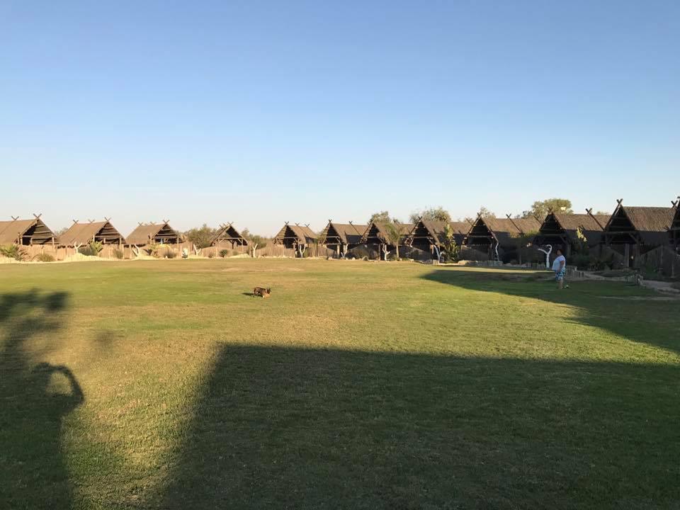 Tiger Reef Campsite Tiger Reef Campsite
