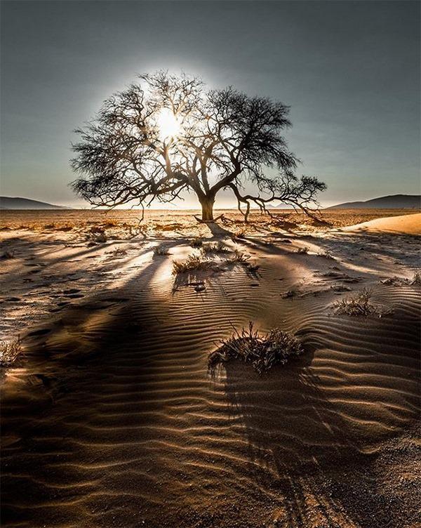 Sossusvlei Lodge Sossusvlei Lodge