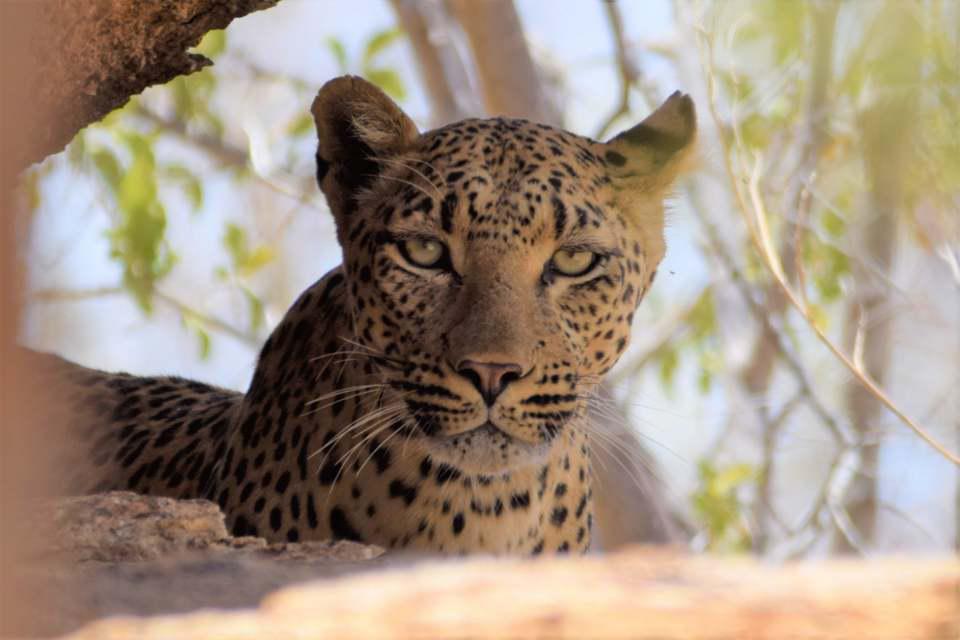 Ai Aiba - The Rock Painting Lodge Ai Aiba - The Rock Painting Lodge