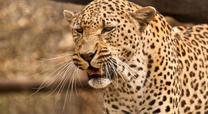 Omaruru Game Lodge Omaruru Game Lodge