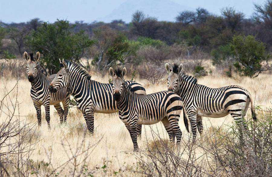 Omaruru Game Lodge Omaruru Game Lodge