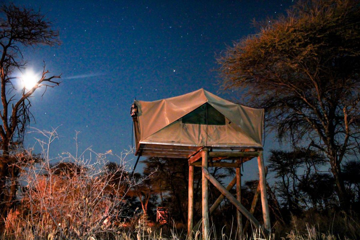 Kambaku Safari Lodge Kambaku Safari Lodge