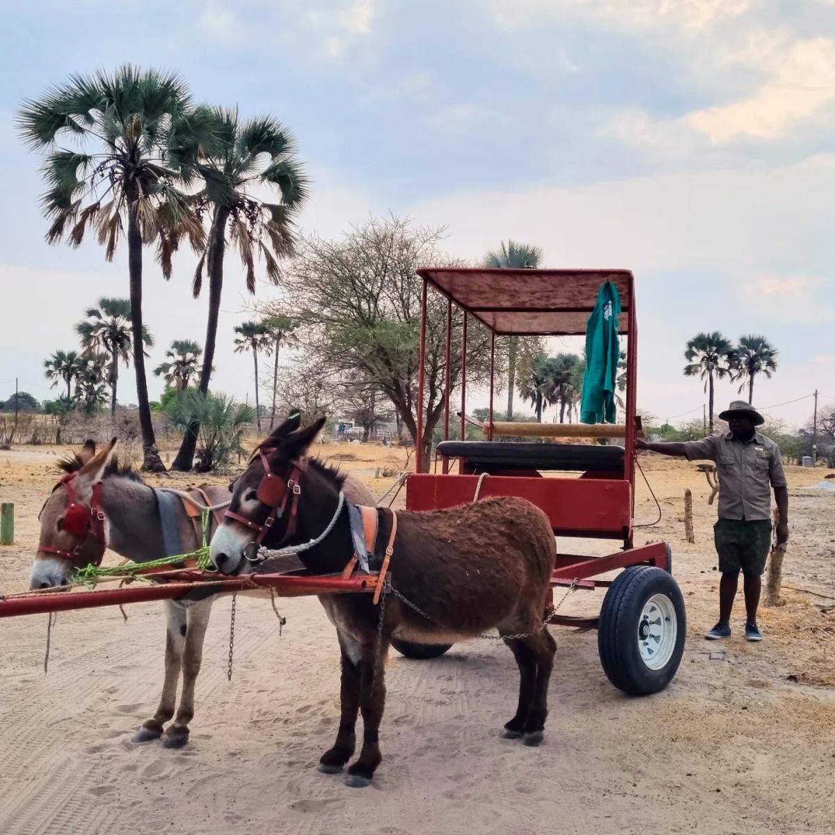 Ongula Village Homestead Lodge Ongula Village Homestead Lodge
