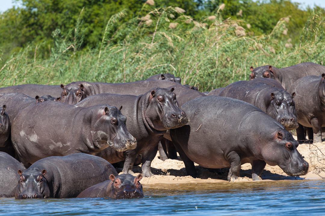 Caprivi Mutoya Campsite Caprivi Mutoya Campsite