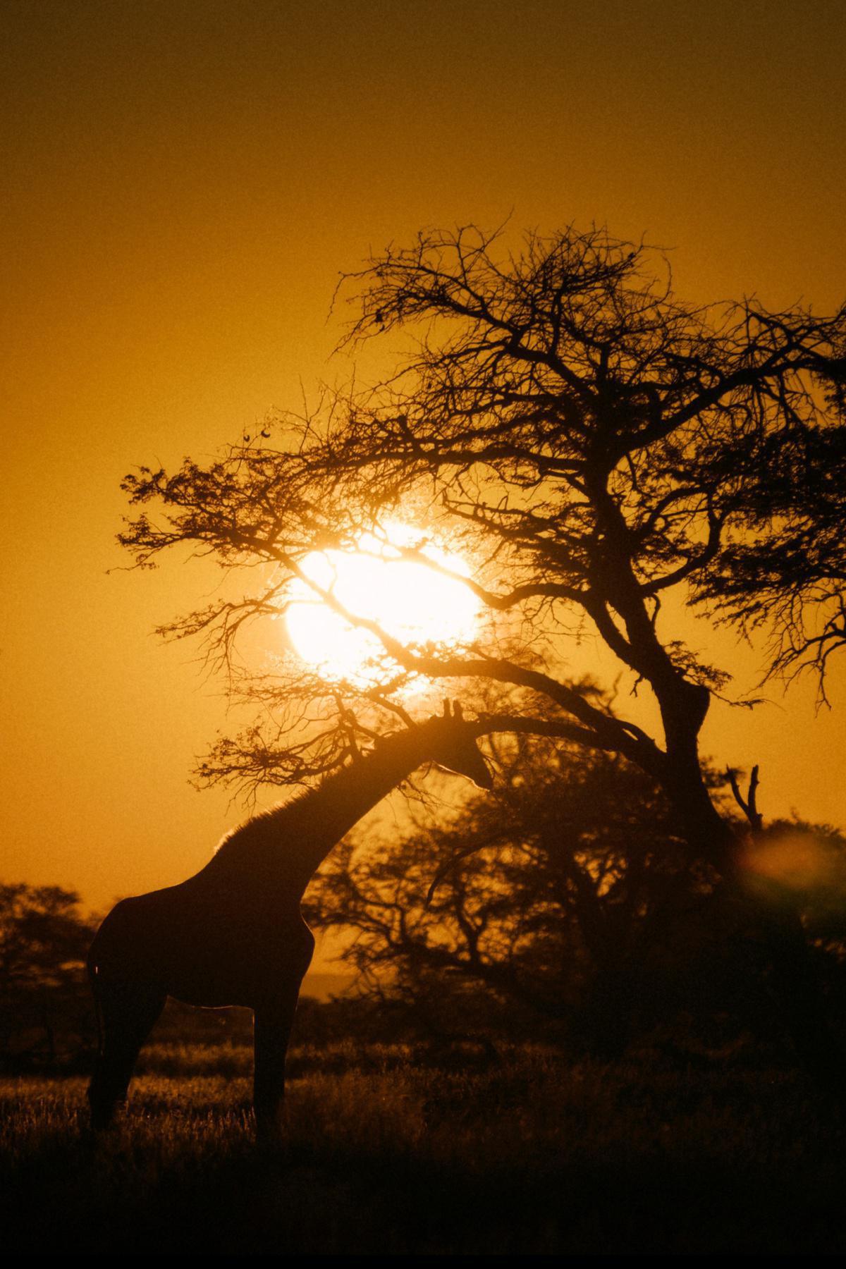 Habitas Namibia Habitas Namibia