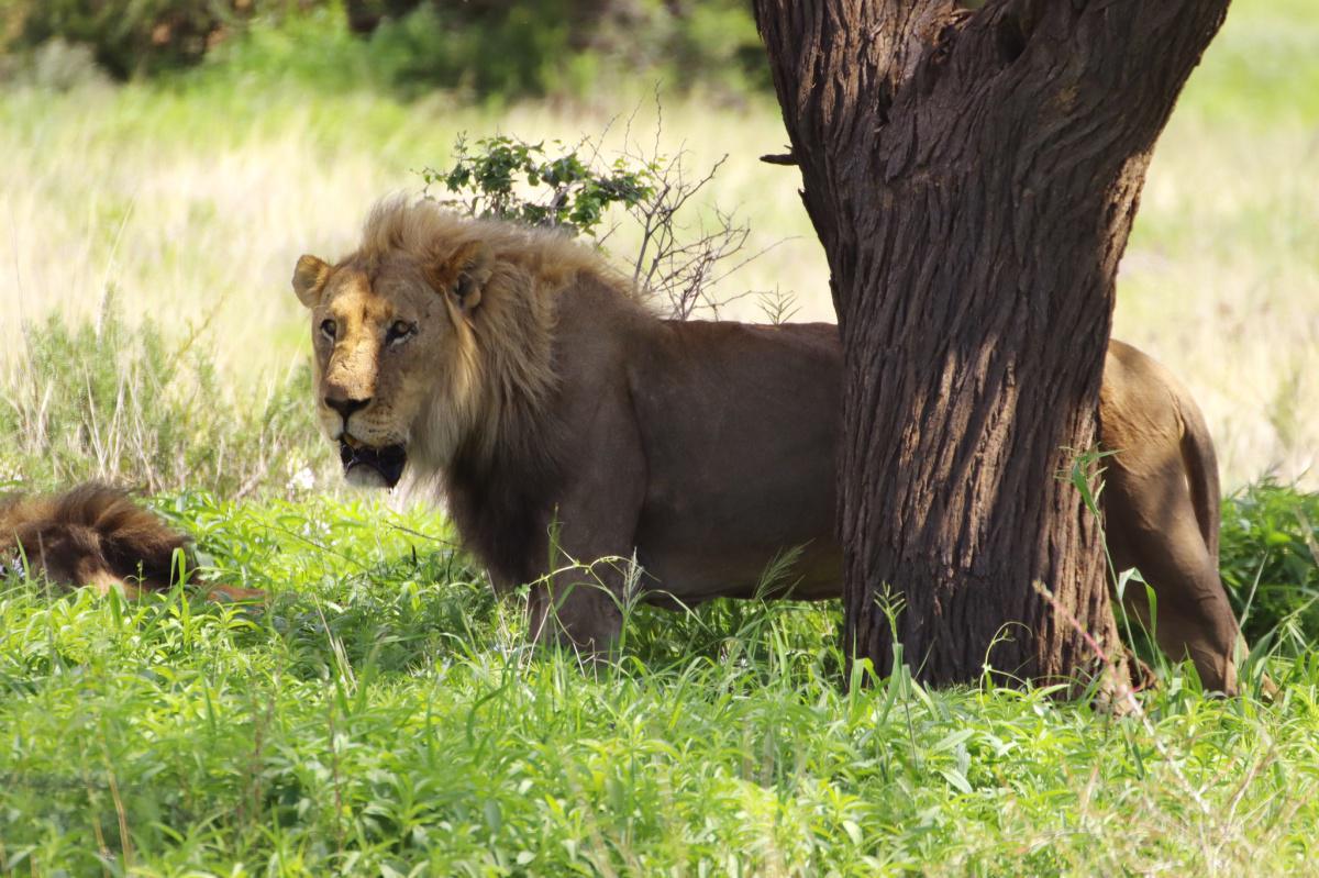 Habitas Namibia Habitas Namibia