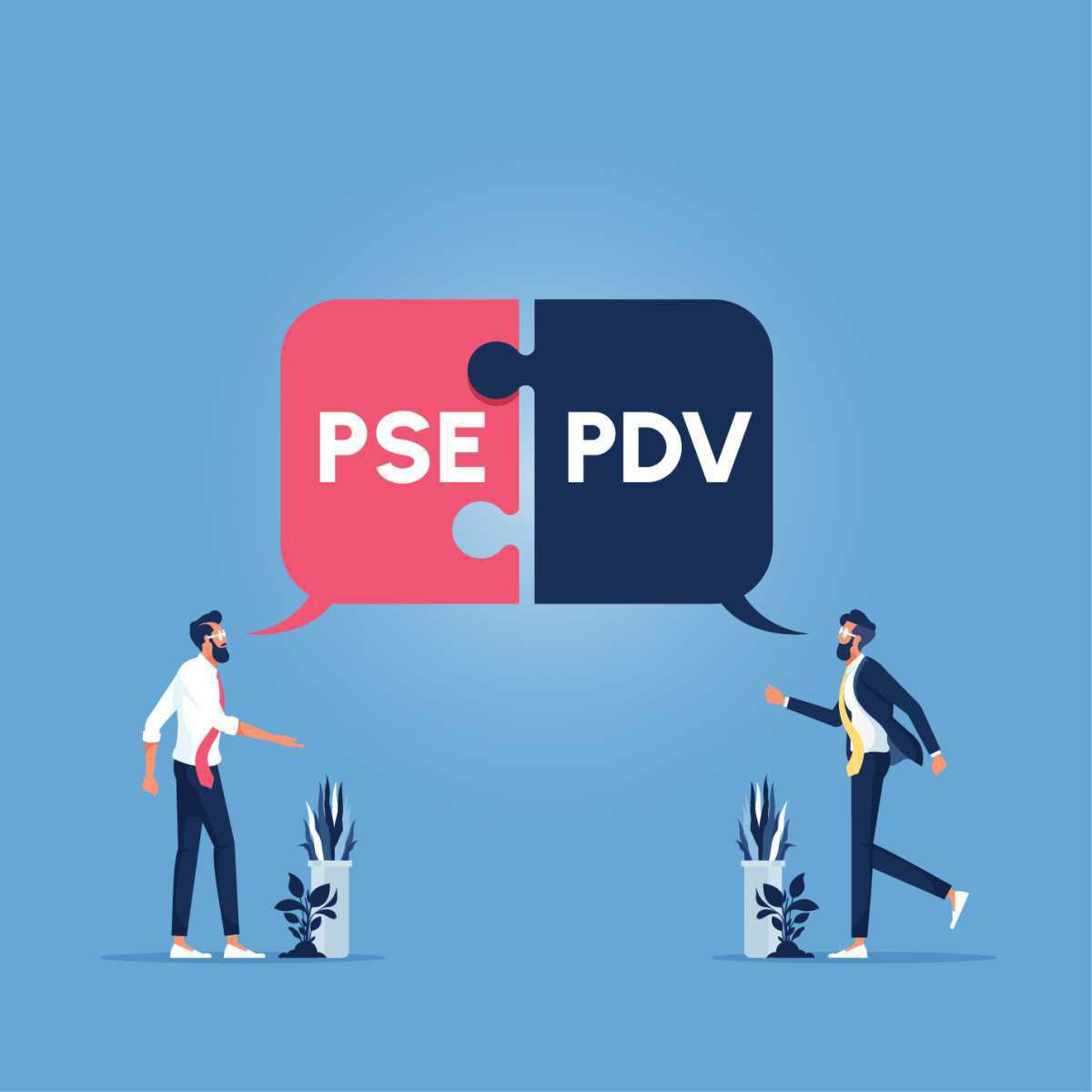 QUELLES DIFFÉRENCES ENTRE UN PSE ET UN PDV ?