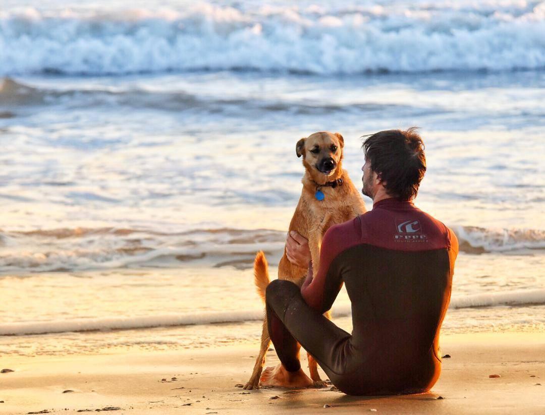 Salty Jackal Backpackers & Surf Camp Salty Jackal Backpackers & Surf Camp