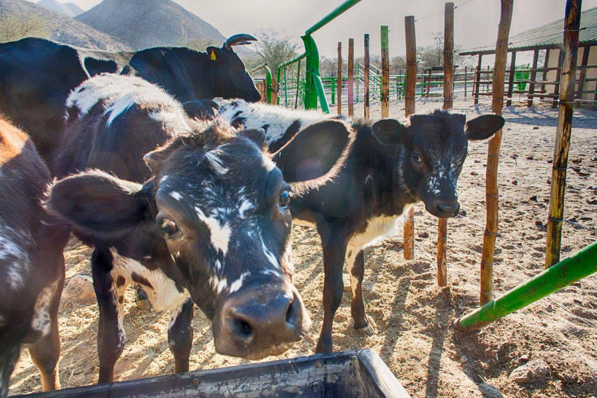 Etusis Lodge Etusis Lodge