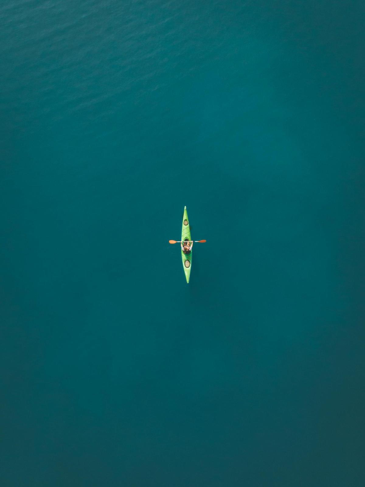 Half Day Seal Kayaking