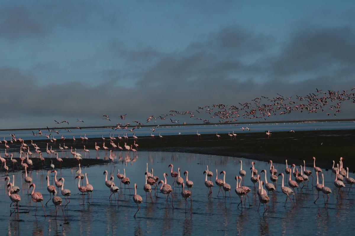 Swakopmund vs Walvis Bay: Which Coastal Town is for You?