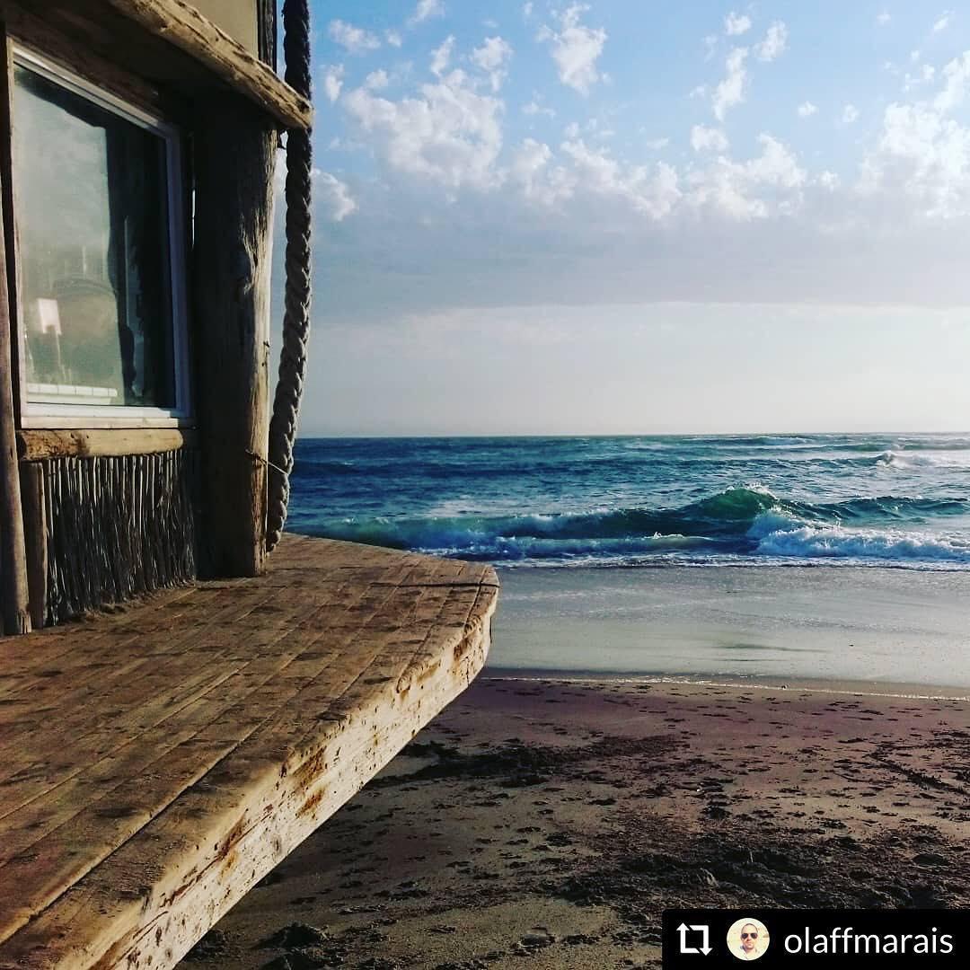 Tiger Reef Beach Bar & Grill Tiger Reef Beach Bar & Grill