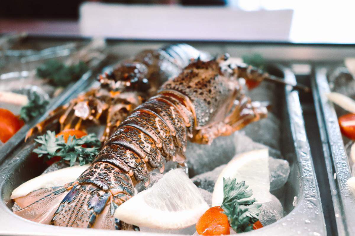 Ocean Cellar Ocean Cellar