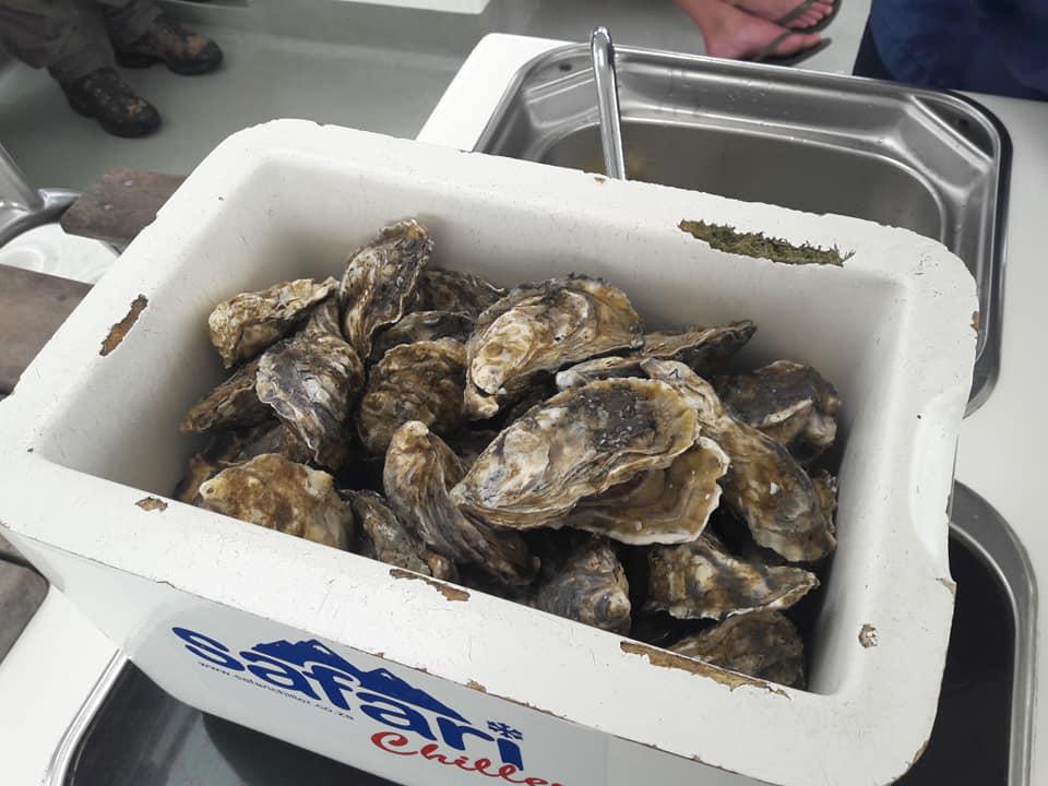 Fishing Tours Swakopmund📍Swakopmund▶️N$ 2300˺ pp Fishing Tours Swakopmund📍Swakopmund▶️N$ 2300˺ pp