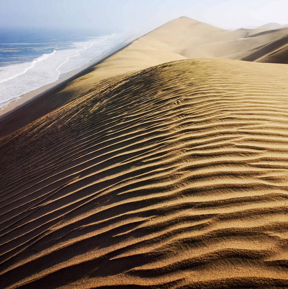 Marine & Sandwich Harbour Combo📍Swakopmund▶️N$ 3870˺ pp Marine & Sandwich Harbour Combo📍Swakopmund▶️N$ 3870˺ pp