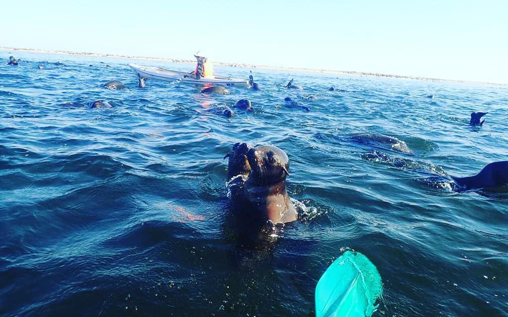 Kayaking Experience📍Swakopmund▶️N$2330˺ pp Kayaking Experience📍Swakopmund▶️N$2330˺ pp
