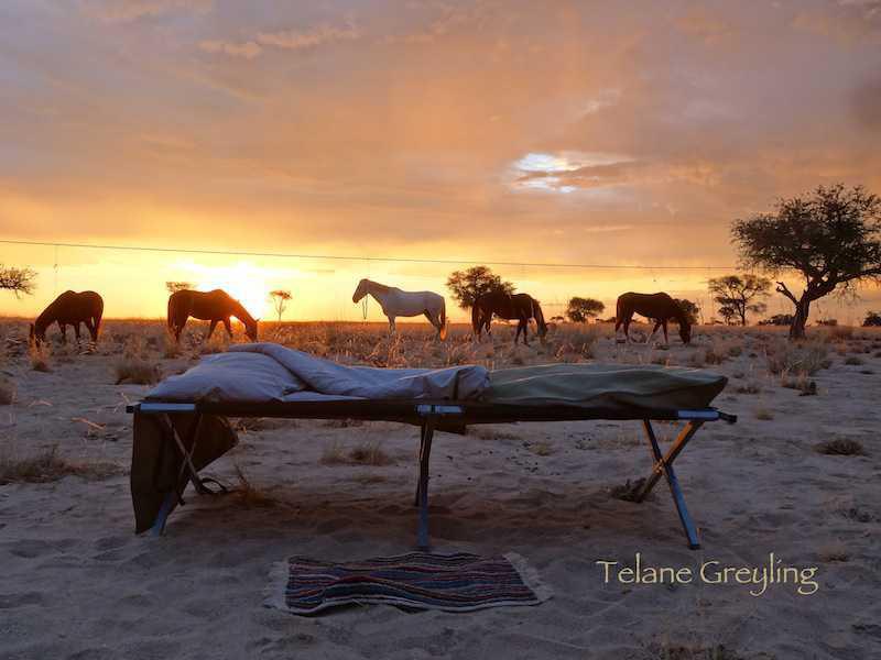 🏜️ Desert Horseback Rides📍 ▶️N$ 1150˺ pp 🏜️ Desert Horseback Rides📍 ▶️N$ 1150˺ pp