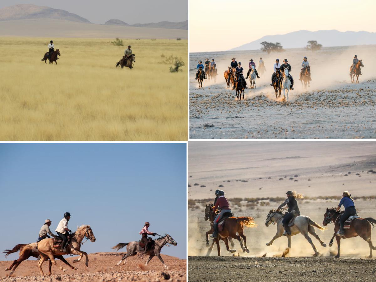 🏜️ Desert Horseback Rides📍 ▶️N$ 1150˺ pp 🏜️ Desert Horseback Rides📍 ▶️N$ 1150˺ pp