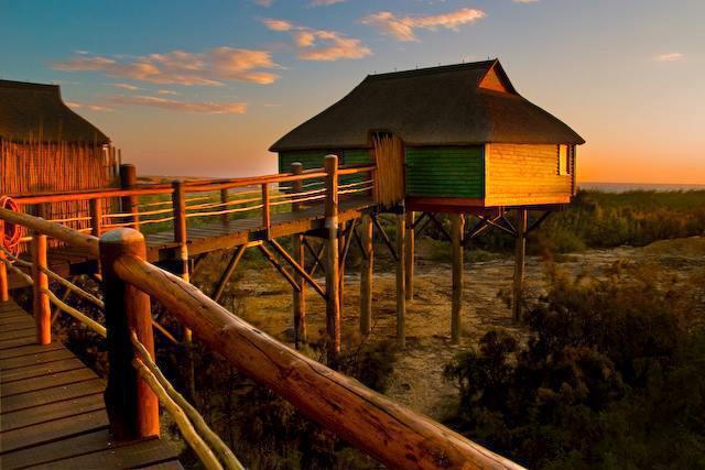 The Stiltz The Stiltz