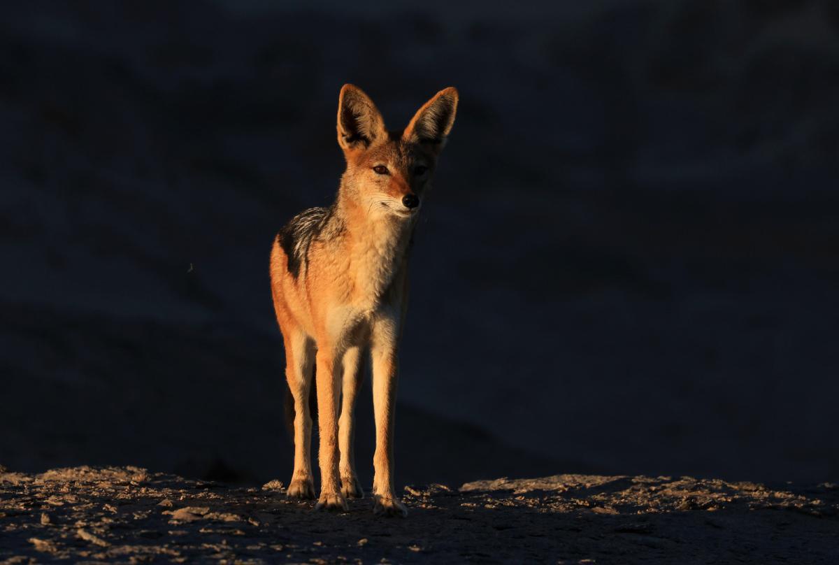 Shipwreck Lodge Shipwreck Lodge