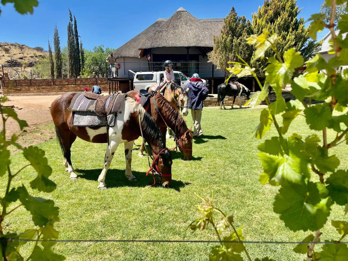 Vineyard Country Lodge Vineyard Country Lodge