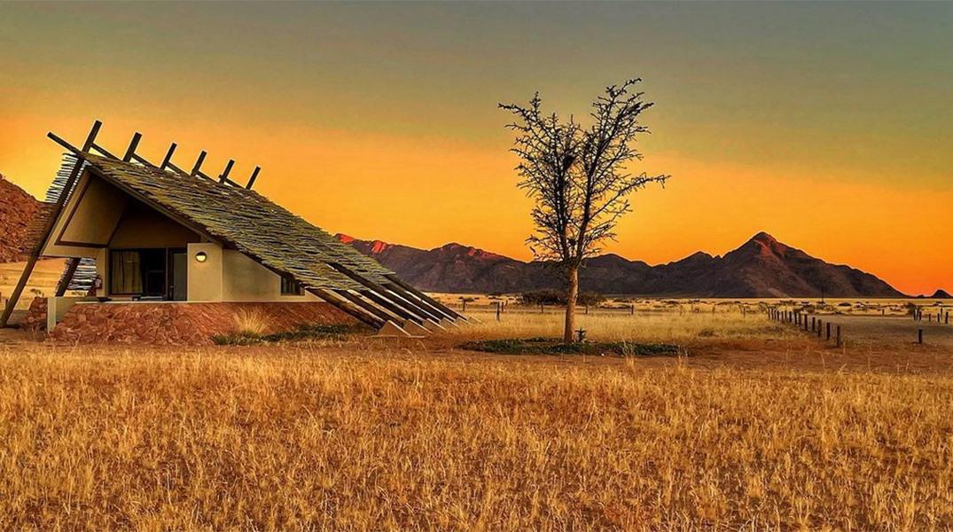 Desert Quiver Camp Desert Quiver Camp