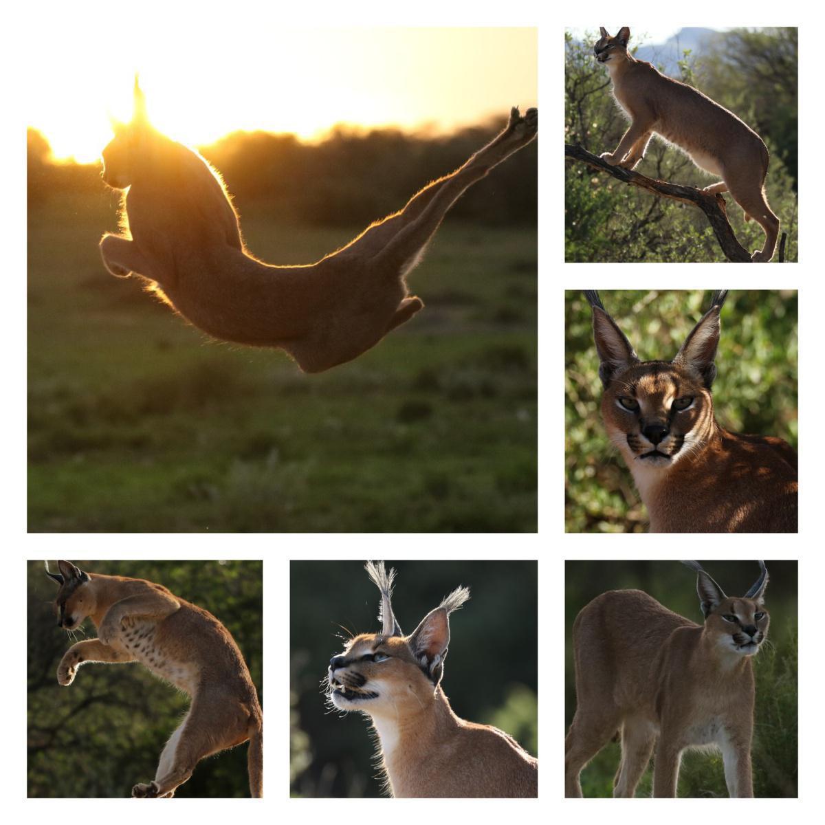 Naankuse Lodge Naankuse Lodge