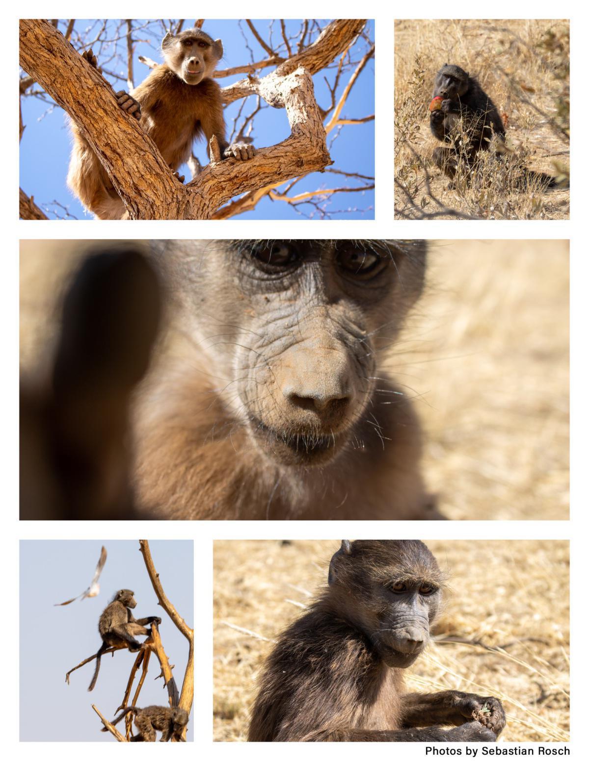 Naankuse Lodge Naankuse Lodge