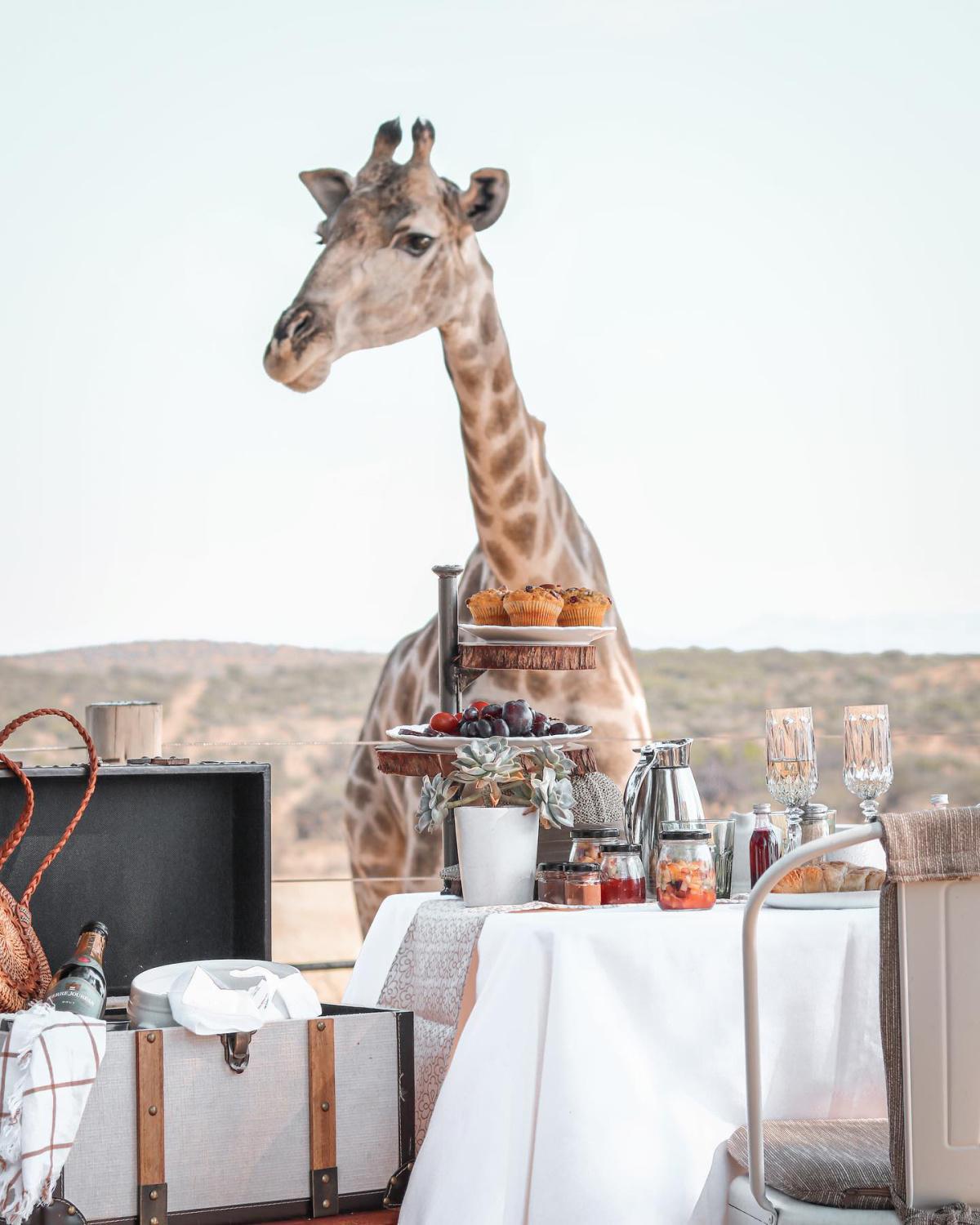 Voigtland Guesthouse Voigtland Guesthouse