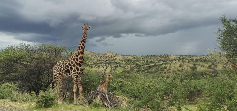 Sun Karros Lifestyle Safari Sun Karros Lifestyle Safari