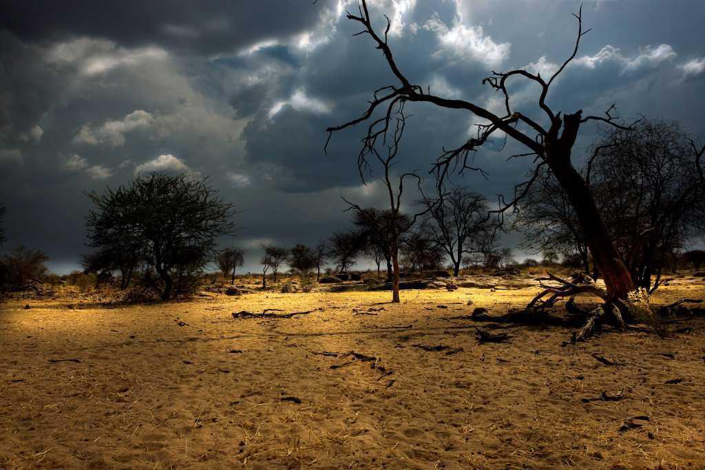 Sney Rivier Lodge Sney Rivier Lodge