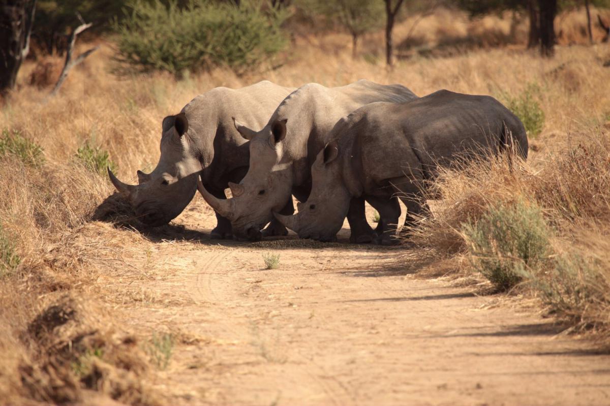 Sney Rivier Lodge Sney Rivier Lodge