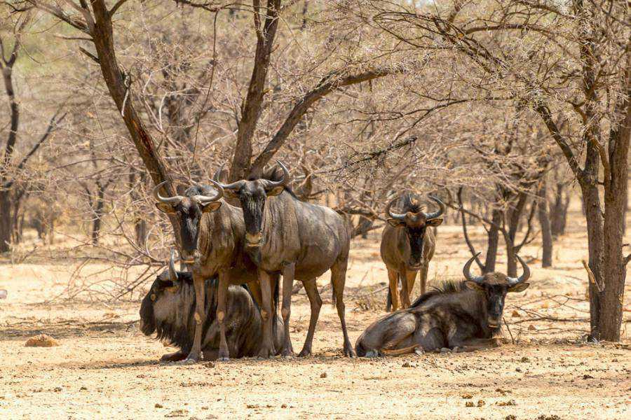 Omaruru Game Lodge Omaruru Game Lodge