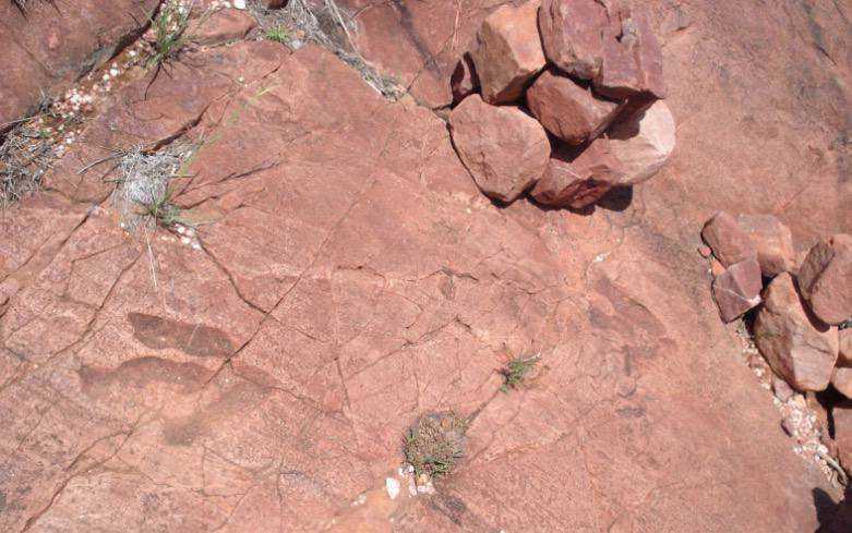 Mount Etjo Safari Lodge Mount Etjo Safari Lodge