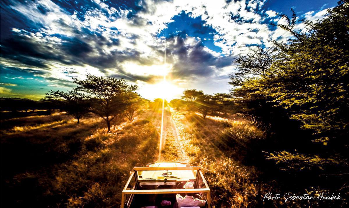 Kambaku Safari Lodge Kambaku Safari Lodge