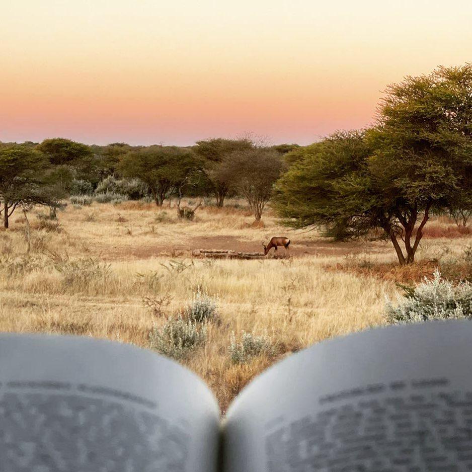 Kambaku Safari Lodge Kambaku Safari Lodge