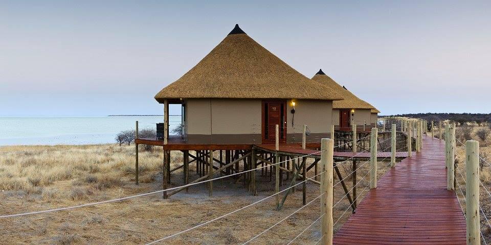 Etosha Mopane Safari Lodge Etosha Mopane Safari Lodge