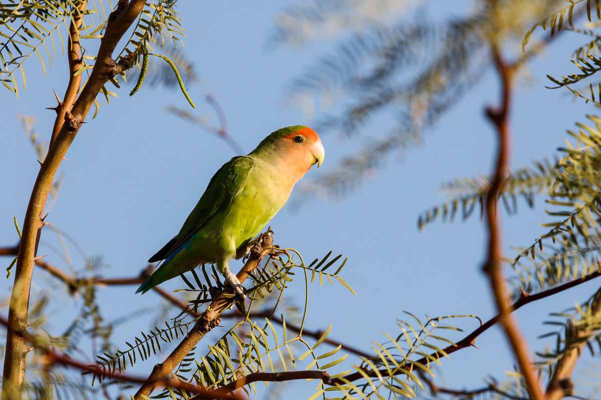 Ann's Lodge & Camping Kamanjab Ann's Lodge & Camping Kamanjab