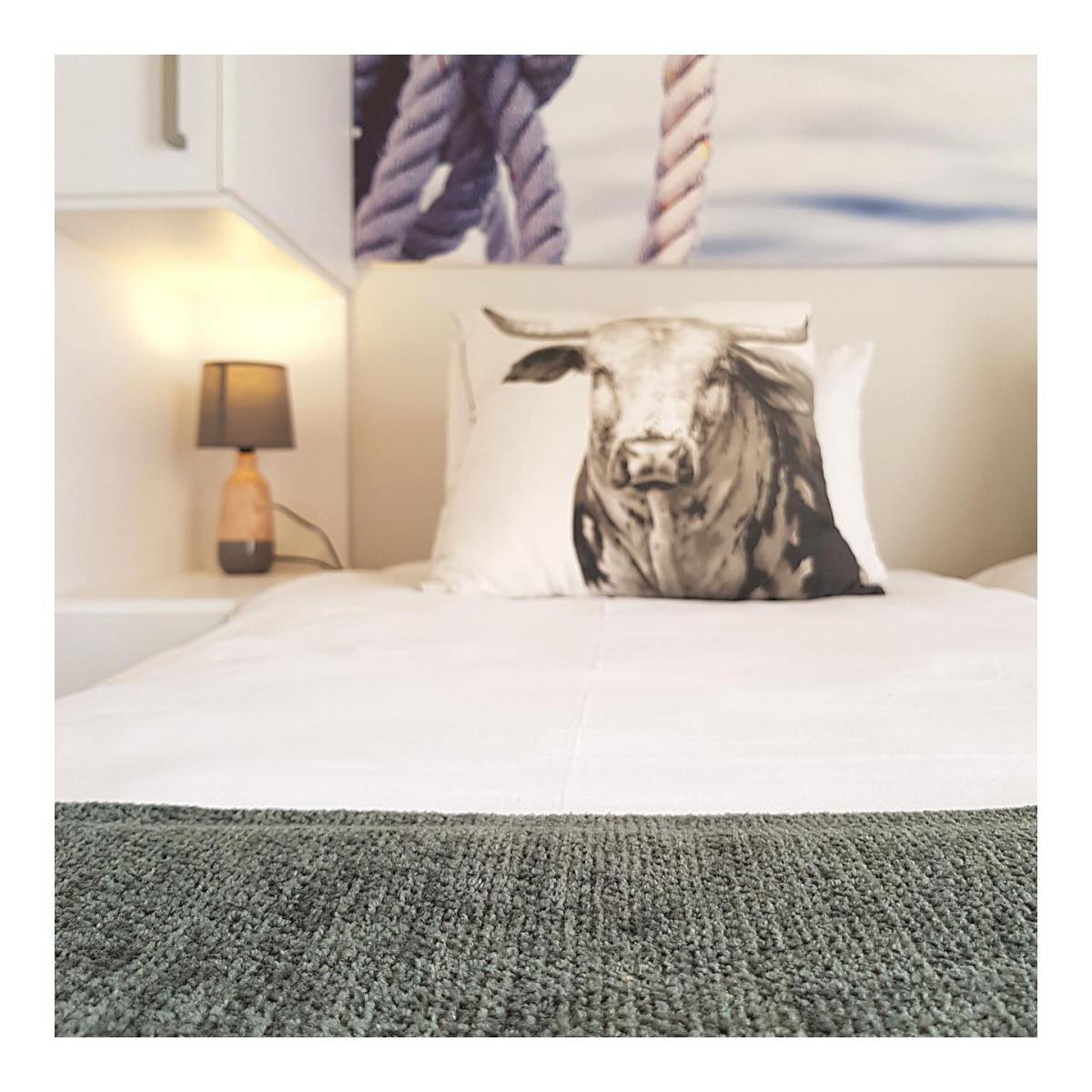 Organic Square Guesthouse Organic Square Guesthouse